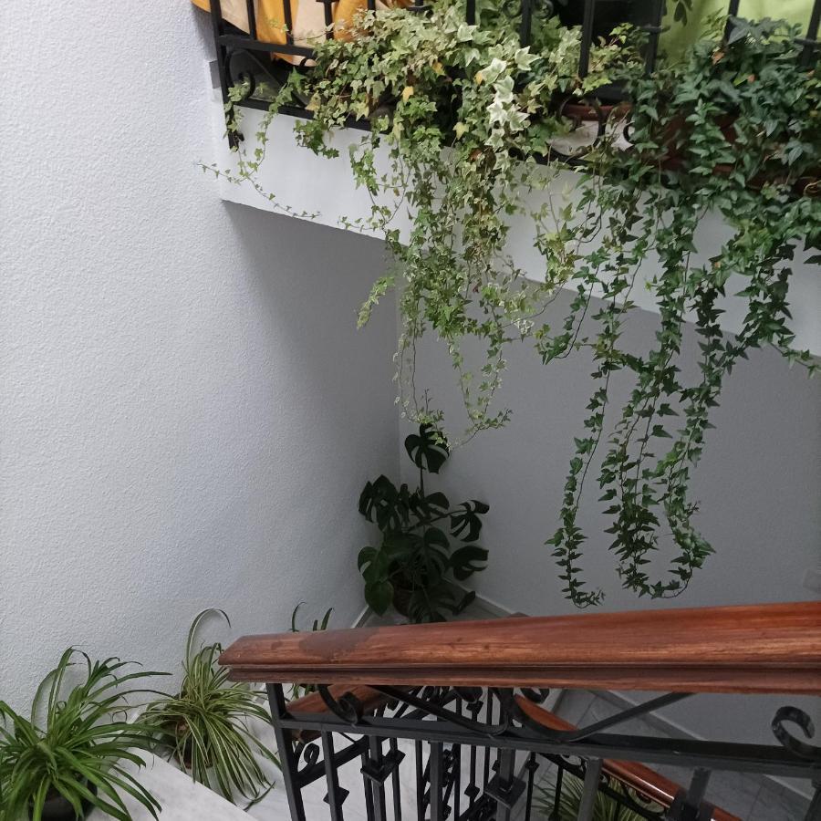 Apartamento Medina Baguh Priego de Córdoba Exterior foto